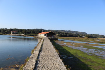 molino de mareas de santa olaja,arnuero,cantabria,españa