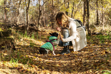 Blond woman training with her french bulldog dog give me five in the field with leaves.