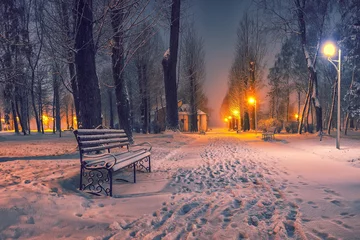 Foto auf Acrylglas Winter Winter evening in a central park.