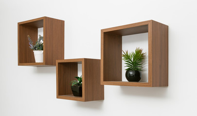 Side view of wooden shelves set on white wall with indoor plants pots