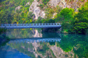 pedestrian bridge over the river water 