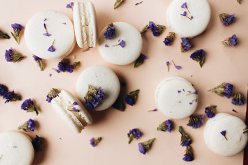Composition of delicious macaroons and purple flowers