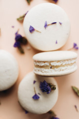 Fototapeta na wymiar Composition of delicious macaroons and purple flowers