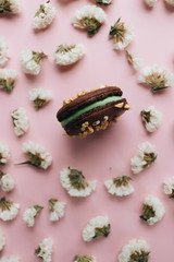 Composition of delicious macaroon and white flowers