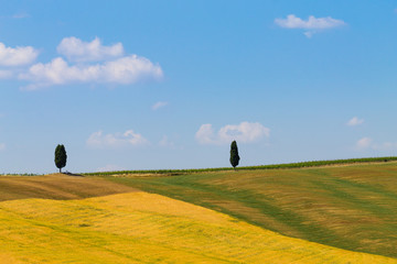 Tuscany hills landscape, Italy