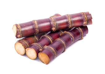 Sugar cane isolated on white background