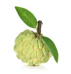 Fototapeta premium Custard apple isolated on white background,annona