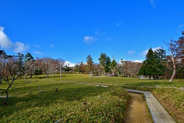 Fototapeta na wymiar 晩秋の大台ケ原山遊歩道の情景