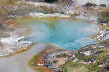 View of turquoise water pools in the West Thumb Geyser Basin in Yellowstone National Park, United States