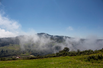 View of high plateau village, forest and mountain in fog creating beautiful nature scene. The image is captured in Trabzon/Rize area of Black Sea region located at northeast of Turkey.