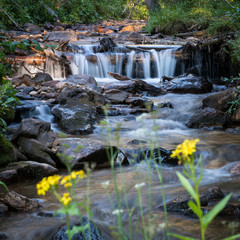 Fototapeta na wymiar Mountain stream with waterfall and wildflowers