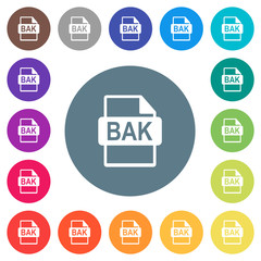 BAK file format flat white icons on round color backgrounds