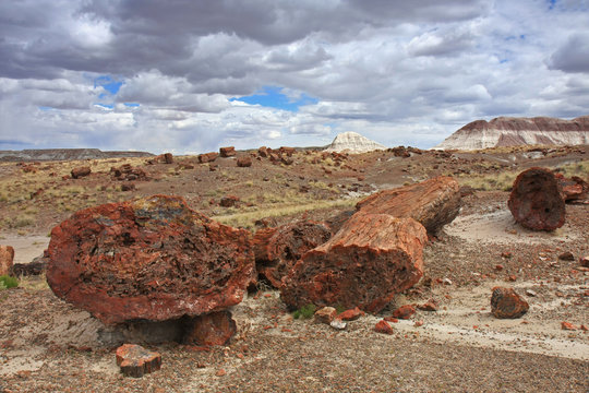 Large petrified wood trunks under gathering storm clouds in Petrified Forest National Park, Arizona.