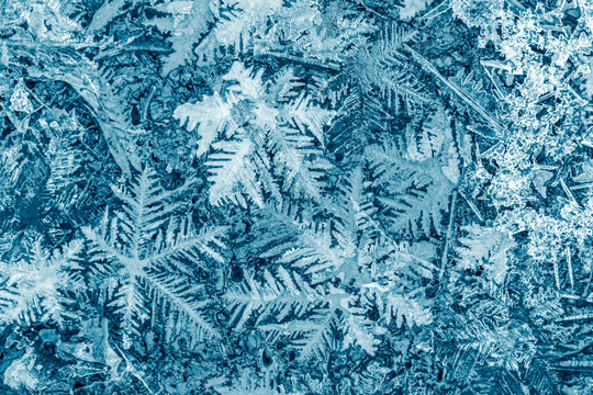 Real Snowflake Images – Browse 11,818 Stock Photos, Vectors, and Video |  Adobe Stock