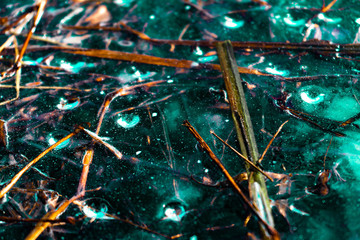 dry grass covered by ice with air bubbles