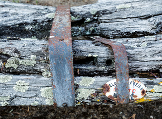Remains of a traditional two-wheeler ox cart