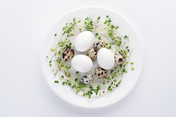 Fresh micro greens and natural eggs on a white plate on white background.