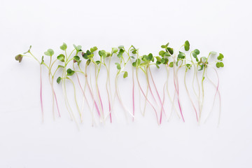 Fresh micro greens on white background.