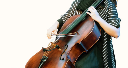 Playing Cellos music on white background, cello player