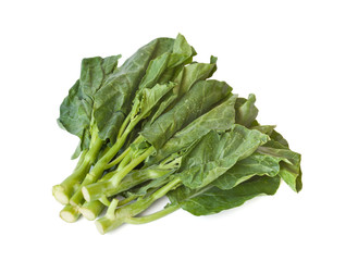 Chinese broccoli or Kailaan isolated on white background