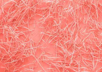 Living coral paper confetti on living coral background.