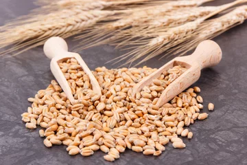 Foto op Canvas Cereal seeds with spoons and ears of rye or wheat grains in background © ratmaner