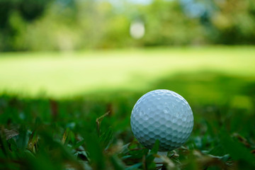 Golf ball on tee in beautiful golf course at sunset background.
