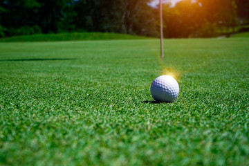 Golf equipment on green grass