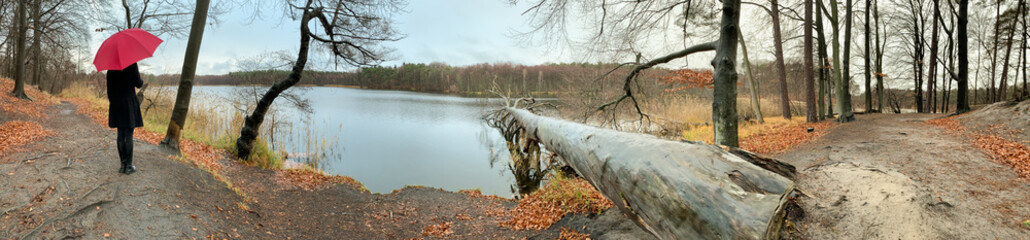 Obraz premium a lonely woman is standing by a lake in bad weather with an umbrella