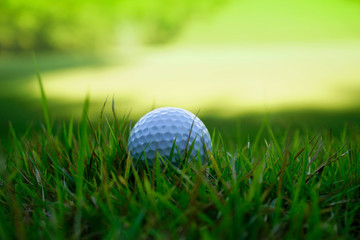Golf ball on green in beautiful golf course at sunset background. Golf ball on green in golf course at Thailand