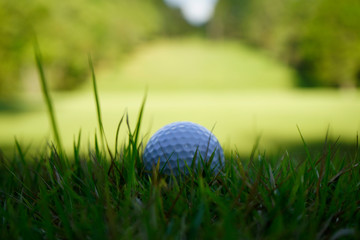 Golf ball on green in beautiful golf course at sunset background. Golf ball on green in golf course at Thailand