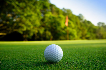 Golf ball on green in beautiful golf course at sunset background. Golf ball on green in golf course...