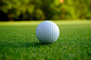 Golf ball on green in beautiful golf course at sunset background. Golf ball on green in golf course at Thailand