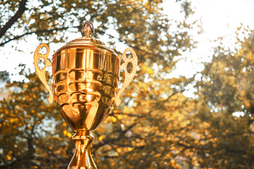 Vintage Gold trophy