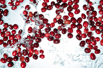 Cranberries Water Splash