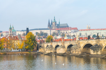 Fototapeta premium prague river bank and old town at background, czech republic