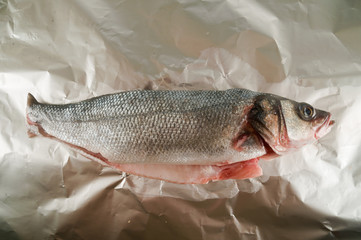 Sea bass on white background