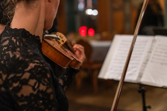 Hand on the strings of a violin
