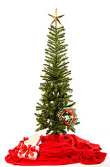 Christmas tree isolated on white