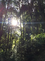 Obraz premium Taiwan landscape photo