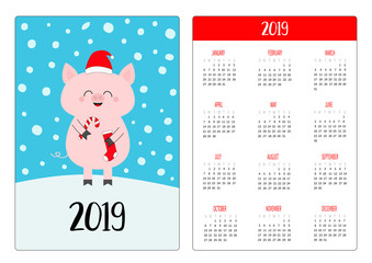 Pig in red Santa hat, holding candy cane, sock. Simple pocket calendar layout 2019 new year. Week starts Sunday. Cute cartoon character. Vertical orientation. Flat design. Blue snow background.