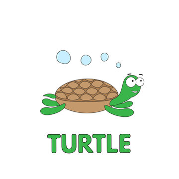 Cartoon Turtle Flashcard for Children