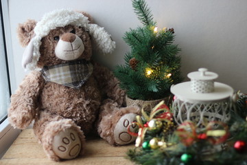 teddy bear with gift