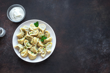 Homemade Dumplings