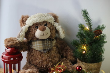 teddy bear with gift