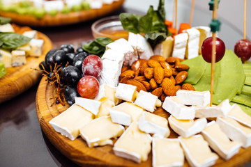 Tasting cheese dish . Delicious cheese on the table. Table setti