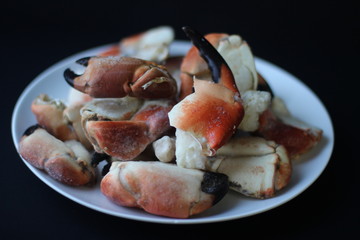 Crab Claws from Atlantic Coast  on plate