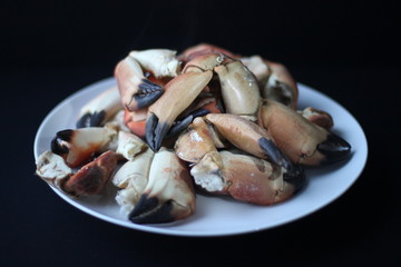 Crab Claws from Atlantic Coast  on plate