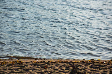 Water and shore with sand
