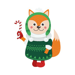 Isolated cute fox is dressed in winter clothes